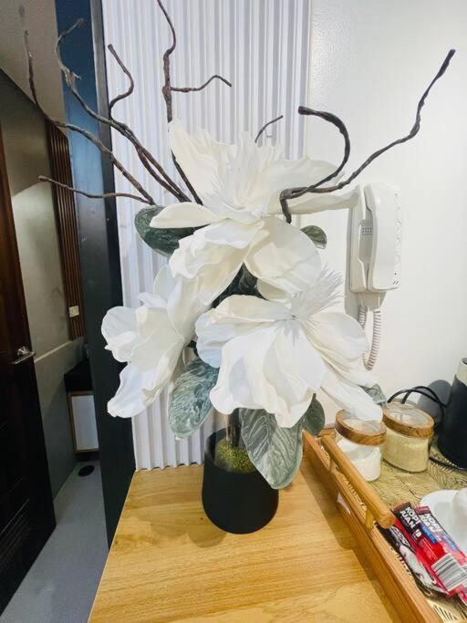 Marias Suite Near Manila Bay Free Use Of Pool 外观 照片